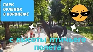 парк Орлёнок в Воронеже