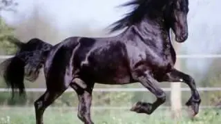 Radetzky Sving (Party mix).wmv