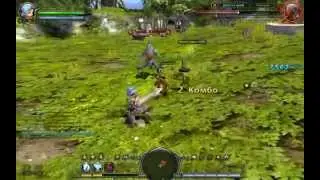 Dragon Nest. Прохождение инстанса 