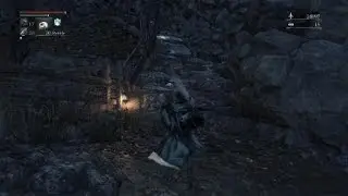 Darbeast Paarl /Bloodborne