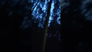 о чем поют Птицын