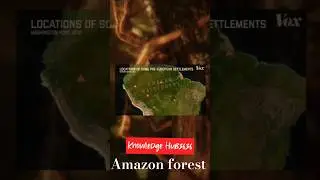 A Journey Through the World's Largest Rainforest