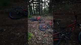 daydream mtb