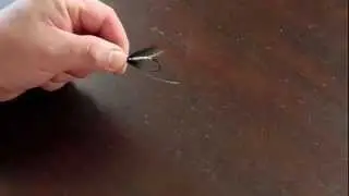 The Gaspé Twist - as taught by Claude Bernard (an extension to the Turle Knot)