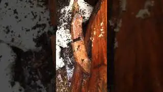 Что это может быть🤔 Пилорамные 