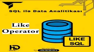 SQL ilə Data Analitikası - Like operator