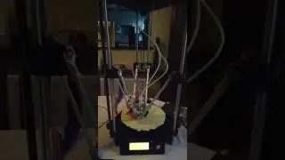 Geeetech G2S Pro - First Test Print (Repetier)