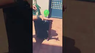 Trompos truco La Maleta #shorts #science #viral