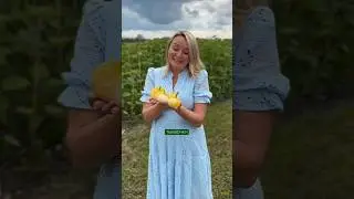 🎃Как подготовить тыкву для композиций: пошаговое руководство!