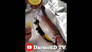Быстро и очень вкусно... Форель в духовке ⭐⭐⭐ Fast and delicious... Trout in the oven 👍👍👍