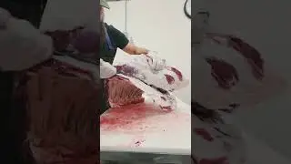 How Much Meat is Really in a Cow? 🥩 New YouTube video launches TODAY at 6PM EST! #shorts