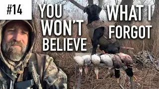I FOUND THE BIRDS! (SOLO LIMIT)