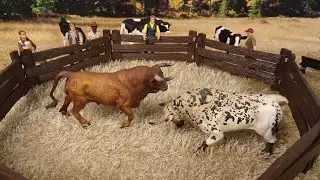 BULL FIGHT/ STOP MOTION/Bull/Touro/Toro/सांड