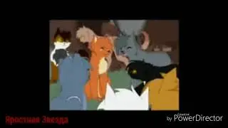 Коты воители Огнезвёзд