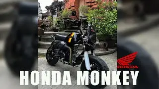 Honda Monkey Adventure Basic Supra X125