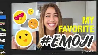 Premiere Pro Templates - Essential Stickers Library | MOGRT for Premiere Pro
