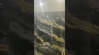 VN20231108 202003