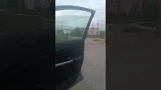 Не сидится дома