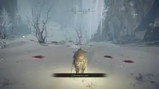 Forgive me Elden Ring