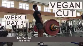 ITS GETTING TOUGHER !| M2 W1 D3| VEGAN CUT