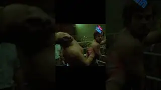 Уработал как сынка 🤣 
