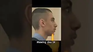 mewing day 14