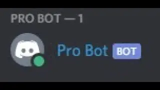 Introducing: Pro Bot!
