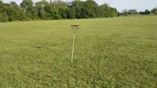 Dropping a Wooden Stake from Brian's DIY 450mm Quadcopter