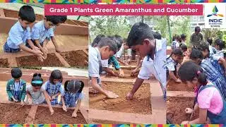 Vanamahotsav Celebrations