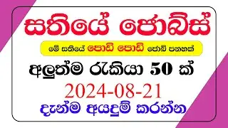 Sathiye Jobs |Today Jobs |Jobs vacancy 2024 |Online jobs | jobs at home | Episode 07