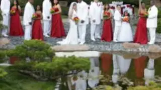 Wedding photography at the Japanese Garden in Long Beach CA