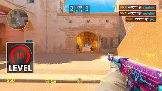 Faceit Lvl 10 Will Make You Crazy...