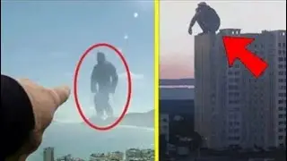 10 giants caught on camera.