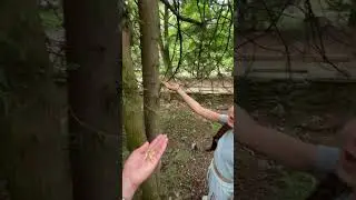 У МЕНЯ БЕЛКА в КИСЛОВОДСКЕ ест с руки
