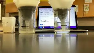 Permeability Lab