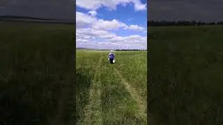 Я старик боровик, главный начальник, над всеми грибами и ягодами