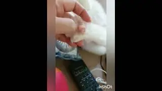 Magic Paws!!!