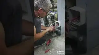 Elektirikçi kedi konusan kediler 3