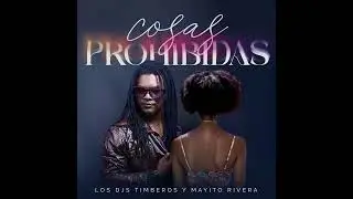 Cosas Prohibidas I Los Djs Timberos & Mayito Rivera