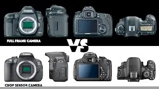 Full Frame vs.Crop Sensor: What's the Difference? | Photography Basics