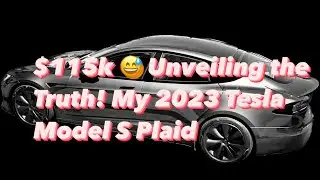 🤔 Spending $115k on a brand new Tesla and still facing issues? 🚗😫
