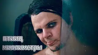 ПТИИЦ  - Миллиметры (на крышах питерских домов)
