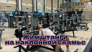 Грудь. Жим штанги на наклонной скамье