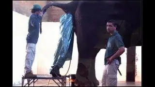 Демотиваторы про работу 2018. Картинки про работу смешные с надписями