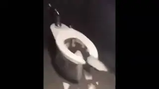 Serious Sam Blows Up Bathroom