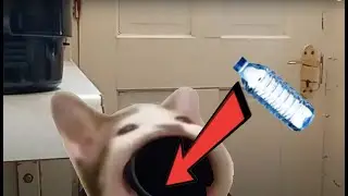 Ultimate Trickshot Fail (10 Times!!)