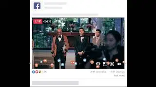 Wedding Live Stream