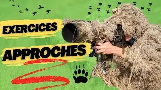 Vous Savez être discret? 5 exercices pour y arriver #pistage #photoanimalière