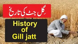 History of Gill jatt | History of caste gill jutt | latest video 2021 Hindi/ Urdu