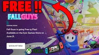 Fall guys Free to play on epic games, Xbox, Nintando